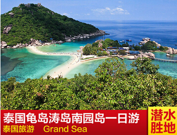 苏梅涛岛龟岛南园岛快艇一日游