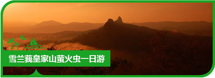 吉隆坡雪兰莪皇家山萤火虫一日游